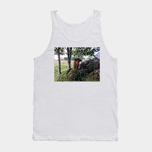 Scottish Highland Cattle Calf 1477 Tank Top